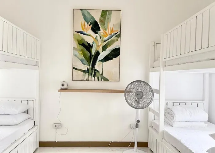 Serene Haven Iii In Tomas Morato Manila